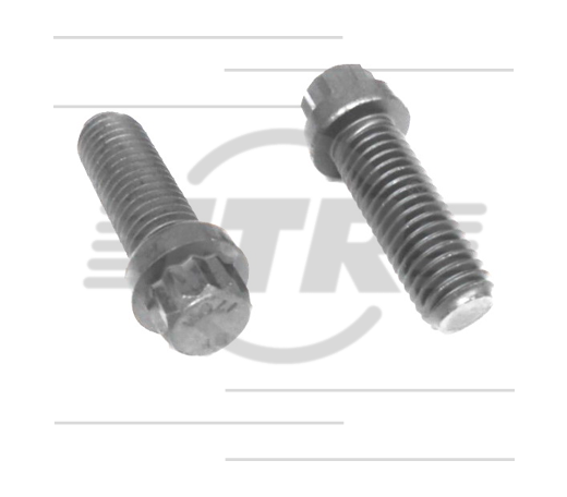BOLT, 12 POINT