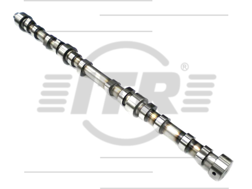 CAMSHAFT, 3066
